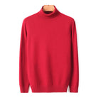 Einfarbiger Turtleneck Pullover für Herren